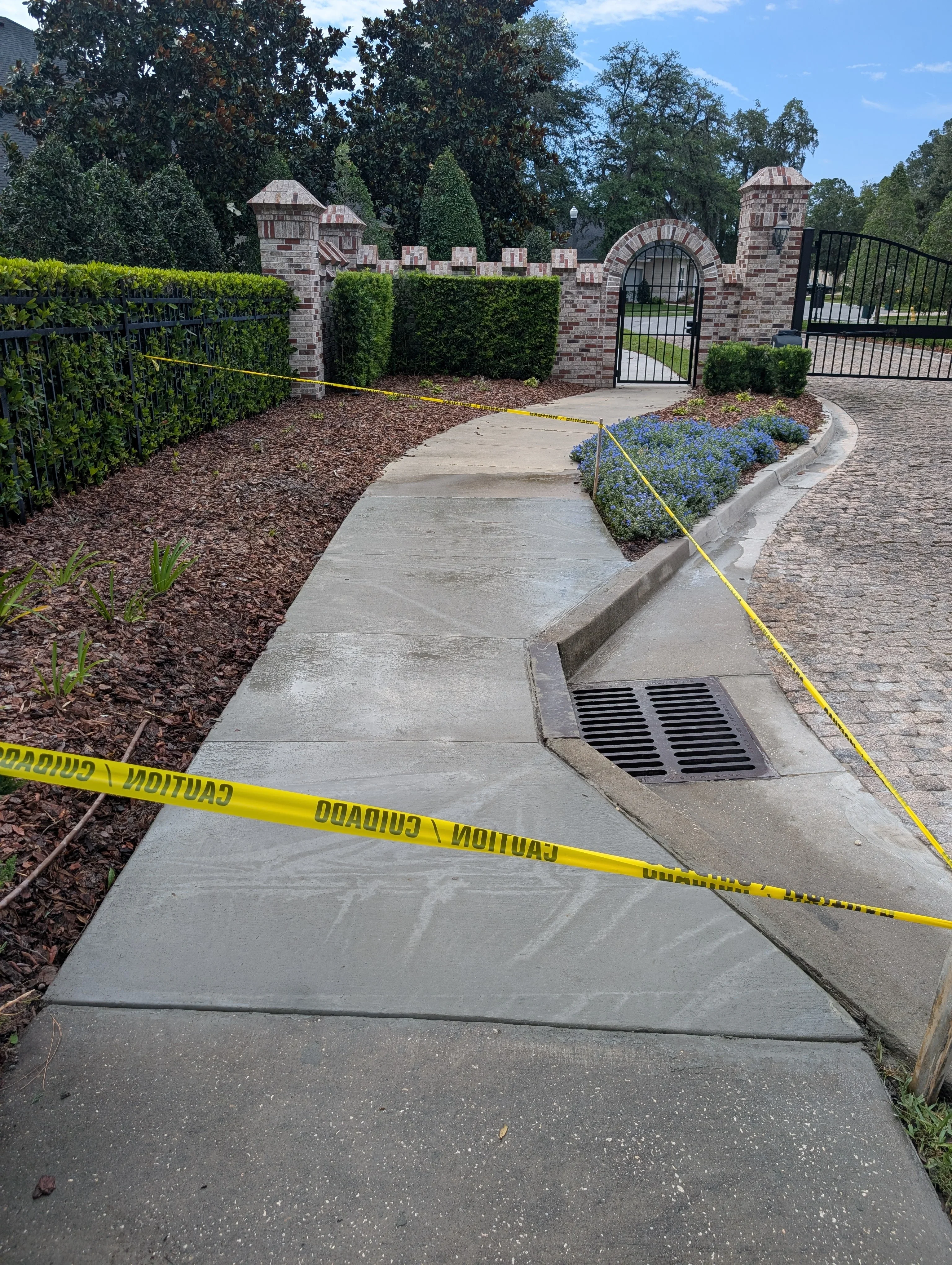 Concrete walkway with drainage grate and catch basin, landscape edging and mulch